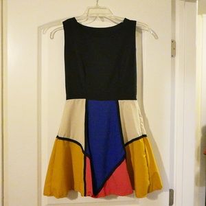 Skater Color Block Dress